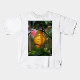 Single lemon in a tree Kids T-Shirt